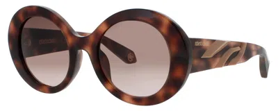 Roberto Cavalli Sunglasses Dark Havana In Brown