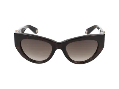 Roberto Cavalli Sunglasses In Dark Havana Glossy
