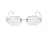 Roberto Cavalli Sunglasses In Palladium Polished Total