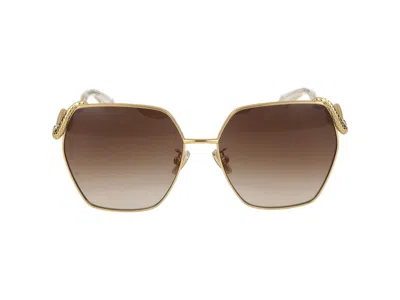 Roberto Cavalli Sunglasses In Polished Yellow Gold