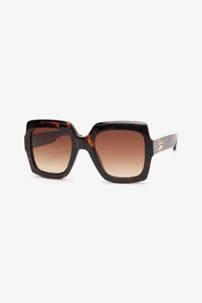 Roberto Cavalli Sunglasses  In Brown