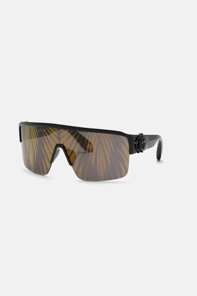 Roberto Cavalli Sunglasses  Ray Of Gold Collection In Black