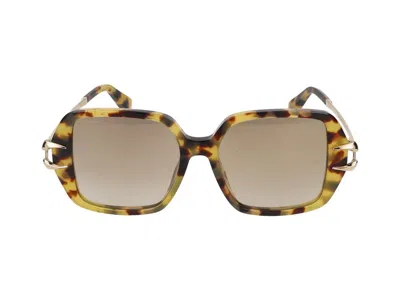 Roberto Cavalli Sunglasses  Src030 777 G Avana Marrone/miele /17/145 In Multi