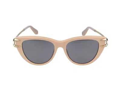 Roberto Cavalli Sunglasses  Src031 9 Lhx Beige Cipria Pieno Lucido /17/145 In Brown