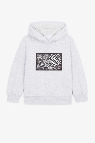 Roberto Cavalli Sweatshirt In Gray