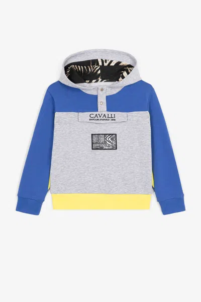 Roberto Cavalli Sweatshirt In Gray