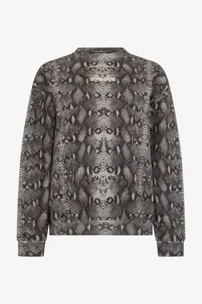 Roberto Cavalli Sweatshirt Mit Python-print In Multi