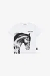 Roberto Cavalli T-shirt With Horse And Logo In White