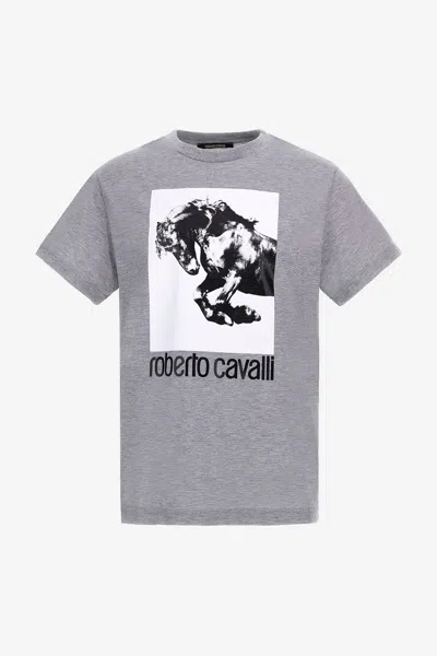 Roberto Cavalli T-shirt With Horse Logo And Print In Gray