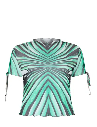 ROBERTO CAVALLI ROBERTO CAVALLI T-SHIRTS AND POLOS