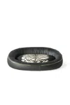 Roberto Cavalli Tiger-print Dog Bed In Black