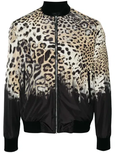 Roberto Cavalli Tiger Tooth-detailed Leopard-print Bomber Jacket In Neutrals