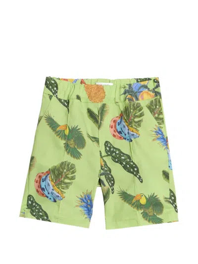 Roberto Cavalli Babies' Tropicana-print Shorts In White