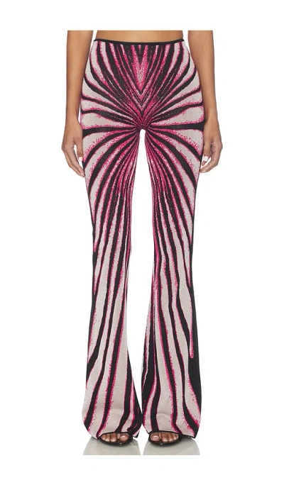 Roberto Cavalli Trousers In Purple