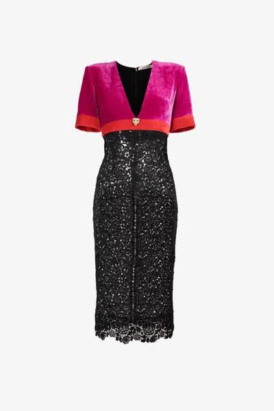 Roberto Cavalli Velvet And Lace Dress In Cardinale