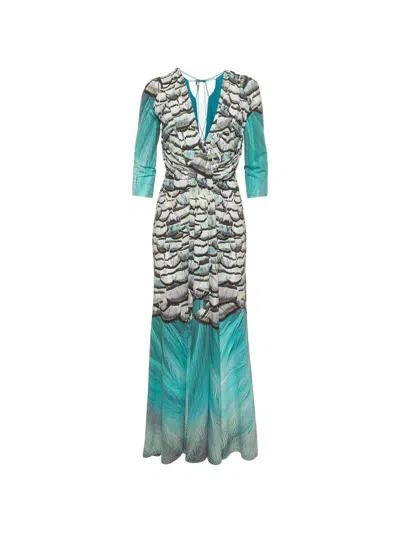 Pre-owned Roberto Cavalli Vintage Feather-print V-neck Maxi Dress In Blue