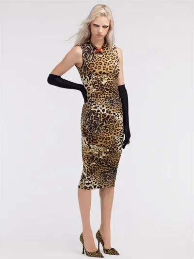 Roberto Cavalli W Dress