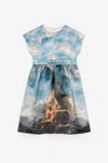 Roberto Cavalli Wild Leda-print Dress In Light Blue