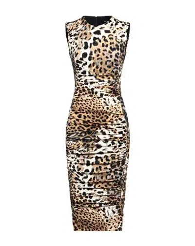 Roberto Cavalli Multicolor Midi Dress In Brown
