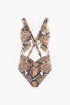 Roberto Cavalli Snake-print Swimsuit In Brown