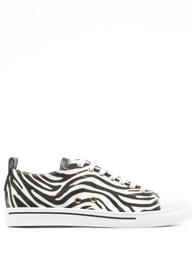 Roberto Cavalli Zebra-print Leather Sneakers In White