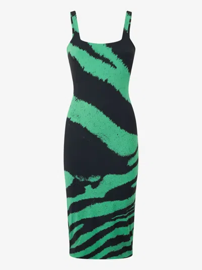 Roberto Cavalli Zebra-print Midi Dress In Green