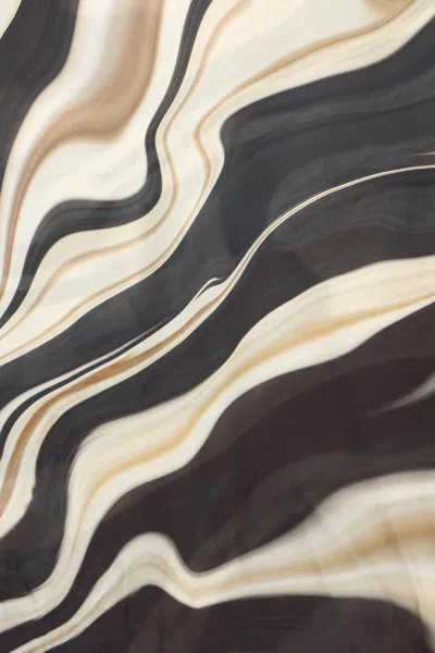 Roberto Cavalli Zebra Print Scarf In Multi