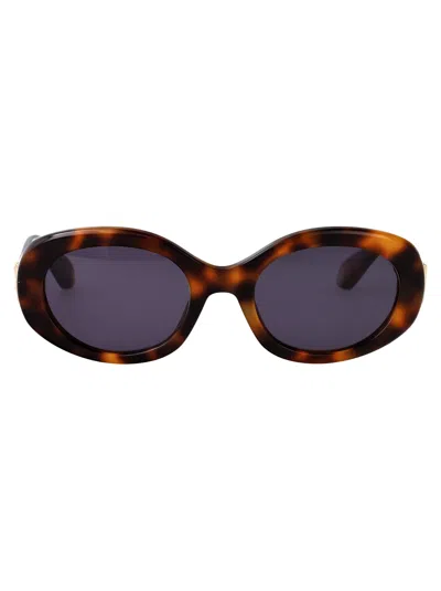 Roberto Cavalli Avana Marrone Acetate Sunglasses In Brown