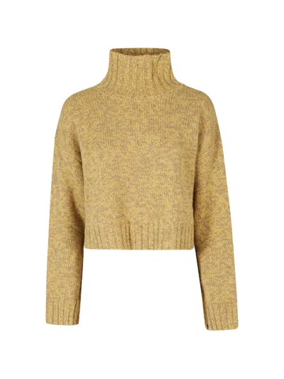 Roberto Collina Chunky-knit High-neck Sweater In Yellow