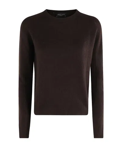 Roberto Collina Crew Neck Long Sleeve Sweater In Brown