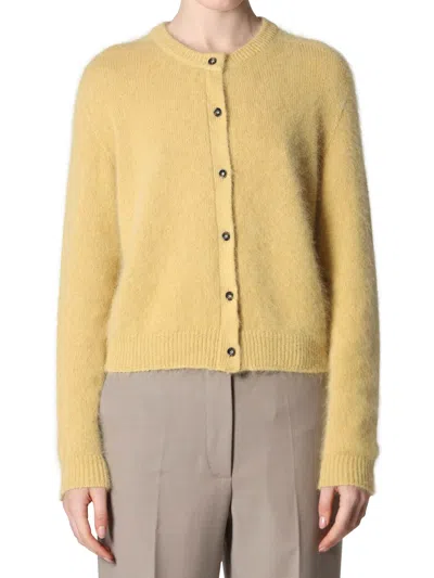 Roberto Collina Cropped Button-down Knit Sweater In Brown