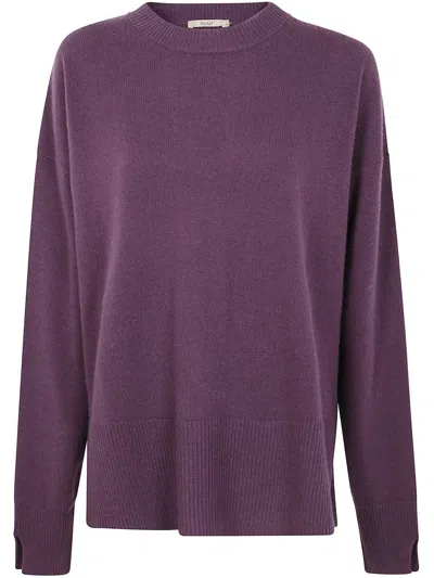 Roberto Collina Long Sleeves Round Neck Sweater Clothing In Purple