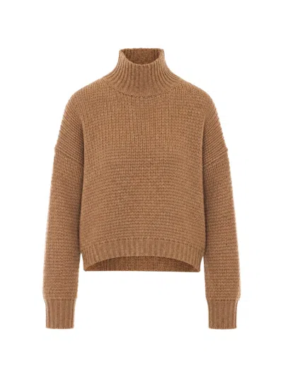 Roberto Collina Ribbed-knit Roll-neck Sweater In Brown