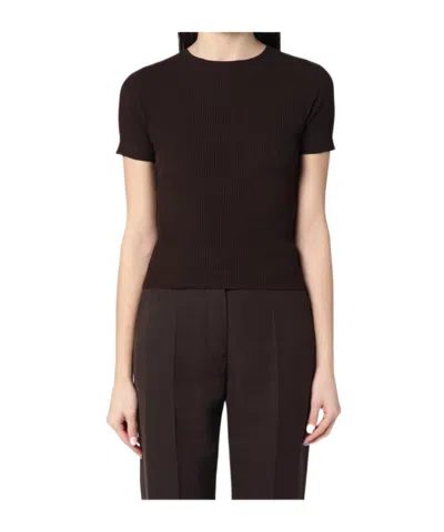 Roberto Collina Short-sleeved Sweater In Brown