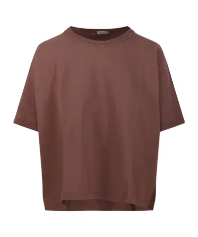 Roberto Collina Short-sleeve Crew-neck T-shirt In Brown