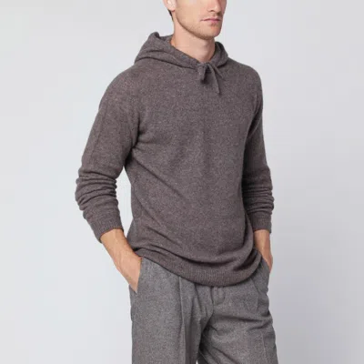Roberto Collina Taupe Hooded Sweater In Brown