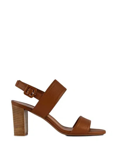 Roberto Festa Buckle Leather Sandals In Multi