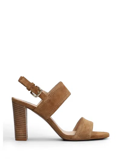 Roberto Festa Buckle-fastening Suede Sandals In Multi