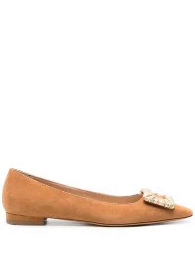 Roberto Festa Canary Suede Ballerina Shoes In Brown