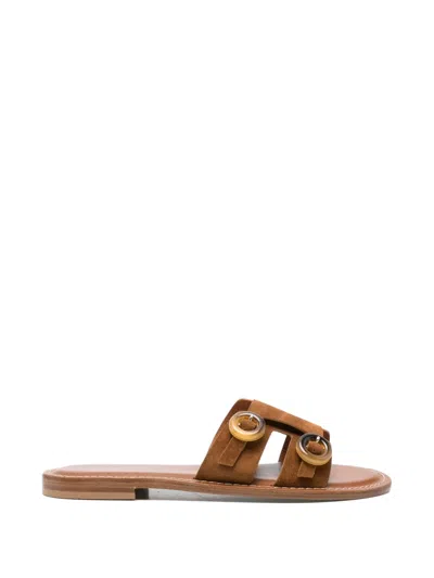 Roberto Festa Naisa Buckle Sandals In Brown