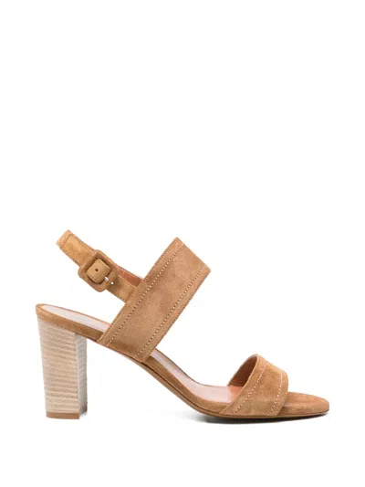 Roberto Festa Puma Buckle-strap Sandals In Brown