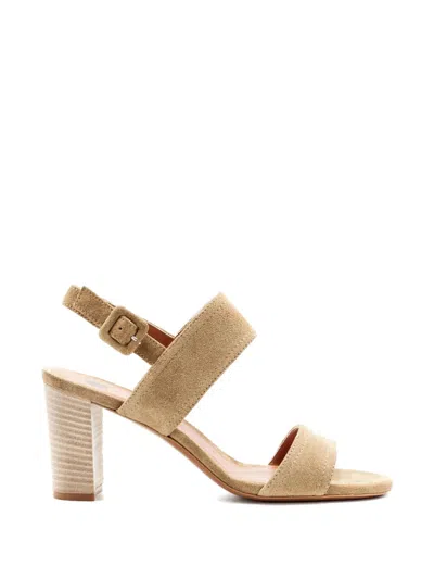 Roberto Festa Puma Suede Adjustable-strap Sandals In Multi