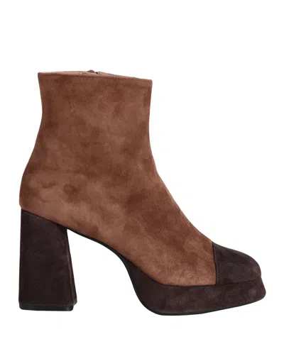 Roberto Festa Ankle Boots In Brown