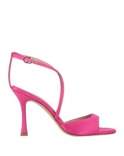 Roberto Festa Woman Sandals Fuchsia Size 6 Textile Fibers In Pink