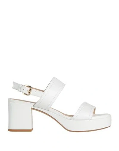 Roberto Festa Woman Sandals White Size 7 Leather