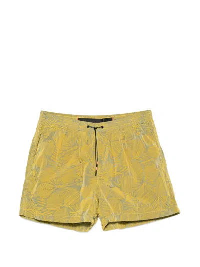 Roberto Ricci Designs Leaf-print Drawstring-waistband Shorts In Yellow