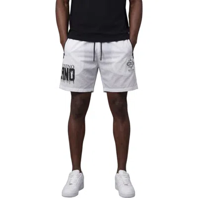 Roberto Vino Milano Swim Trunks In Gray