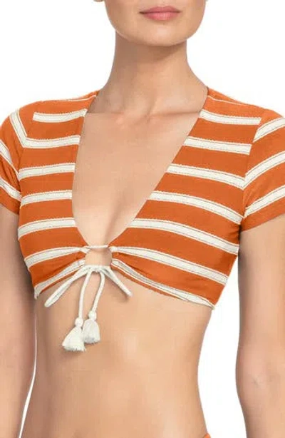 Robin Piccone Abi Tie Front Bikini Top In Masala / Ecru