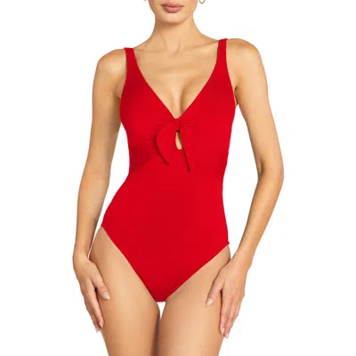 ROBIN PICCONE ROBIN PICCONE AVA KNIT ONE-PIECE SWIMSUIT