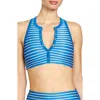 Robin Piccone Parker Stripe Bikini Top In Blue